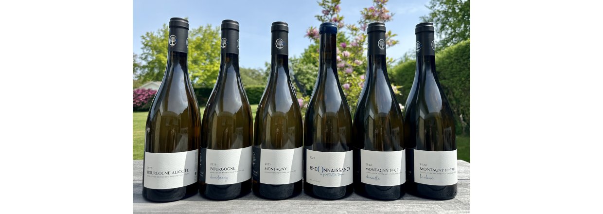 NY RGANG - Domaine Aline Beaun