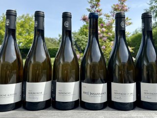 NY RGANG - Domaine Aline Beaun