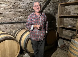 David Vérot - Vitacée