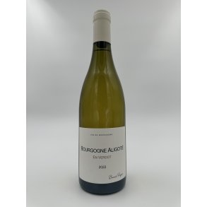 2022 Benot Pagot Bourgogne Aligot 'En Verdot' Blanc