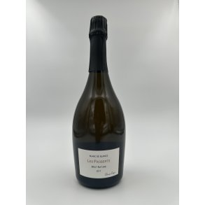 2017 Benot Pagot Crmant de Bourgogne Brut Nature 'Les Froberts' Blanc de Blancs
