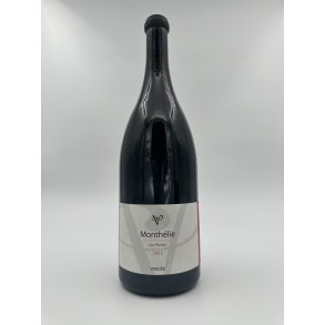 2022 Vitace David Vrot Monthlie 'Les Plantes' Rouge MG.