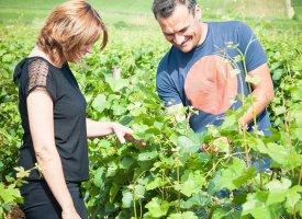 Rollin Père et Fils