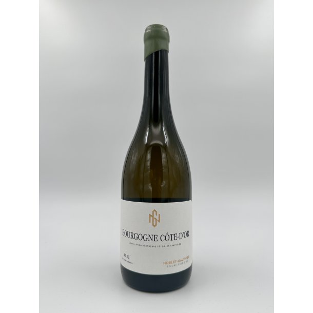 2023 Maison Noblet-Gauthier Bourgogne Cte dOr Blanc
