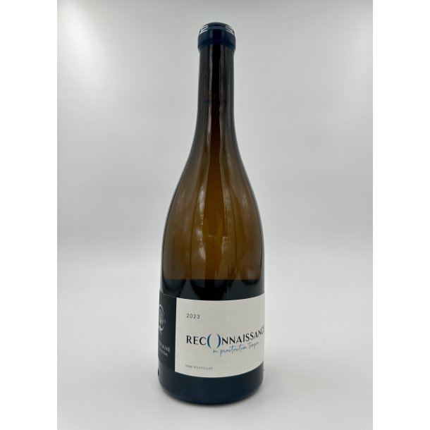 2023 Aline Beaun Montagny Reconnaissance Blanc