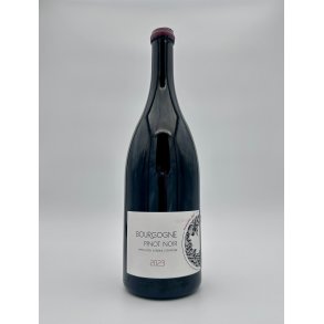 2023 Maison A&S Bourgogne Pinot Noir Rouge MG.