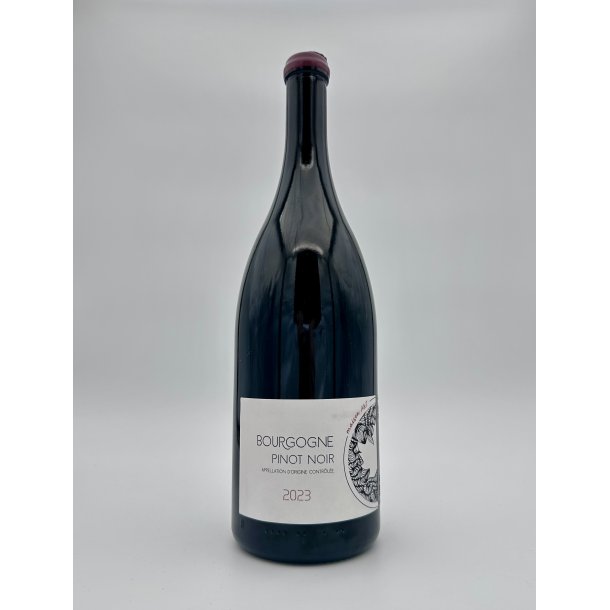 2023 Maison A&S Bourgogne Pinot Noir Rouge MG.