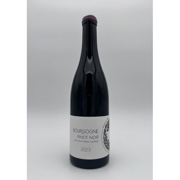 2023 Maison A&S Bourgogne Pinot Noir Rouge