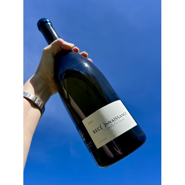2024 Aline Beaun� Montagny Reconnaissance Blanc MG.
