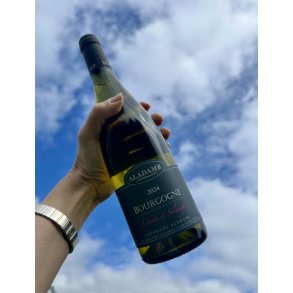 2024 St�phane Aladame Bourgogne Blanc 'L�onie et Solange'