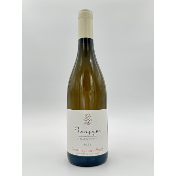 2024 Jobard-Morey Bourgogne Chardonnay
