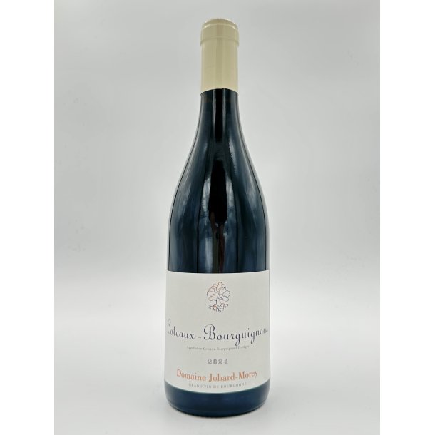 2024 Jobard-Morey Coteaux Bourguignons Rouge