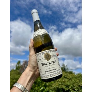 2024 Didier Fornerol Bourgogne Blanc
