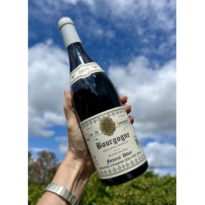 2024 Didier Fornerol Bourgogne Rouge