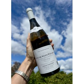 2024 Didier Fornerol C�te de Nuits - Villages Blanc