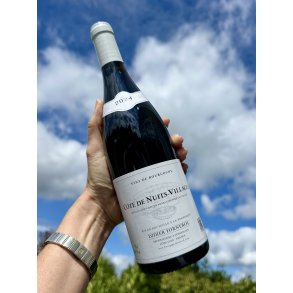 2024 Didier Fornerol C�te de Nuits - Villages Rouge