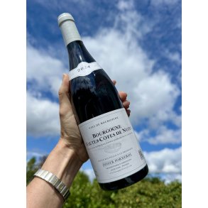 2024 Didier Fornerol Bourgogne Hautes-C�tes de Nuits Rouge