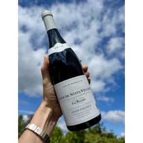 2024 Didier Fornerol C�te de Nuits - Villages 'Les Perri�res' Rouge
