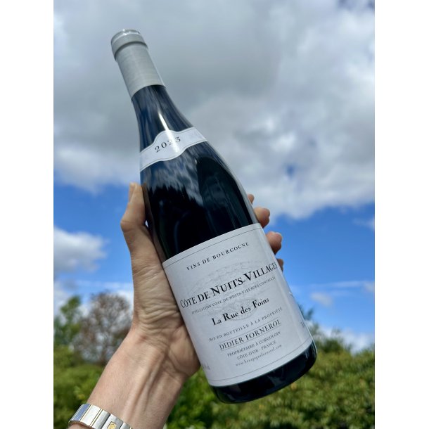 2023 Didier Fornerol C�te de Nuits - Villages La Rue des Foins Rouge