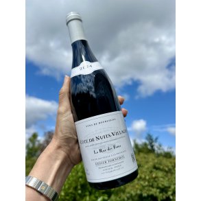 2024 Didier Fornerol C�te de Nuits - Villages La Rue des Foins Rouge