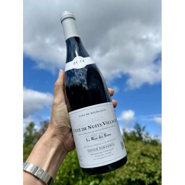 2024 Didier Fornerol C�te de Nuits - Villages La Rue des Foins Rouge