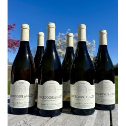 2023 Rollin Bourgogne Aligot� Blanc