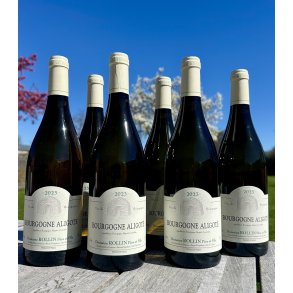 2023 Rollin Bourgogne Aligot� Blanc