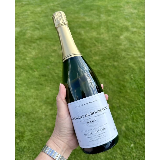 NV Didier Fornerol Cr�mant de Bourgogne Blanc