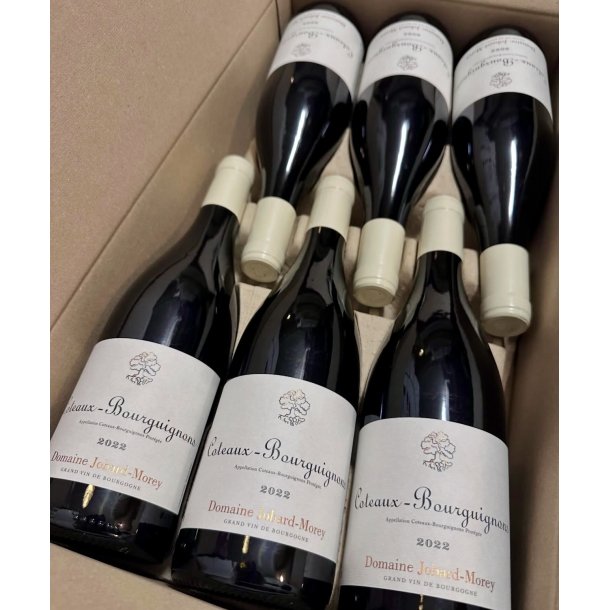 2022 Jobard-Morey Coteaux Bourguignons Rouge