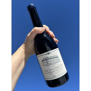 2023 Camille Thiriet Bourgogne Pinot Noir 'Les Chagniots'