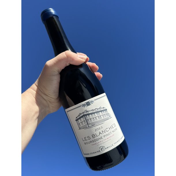 2023 Camille Thiriet Bourgogne Pinot Noir 'Les Blanches'