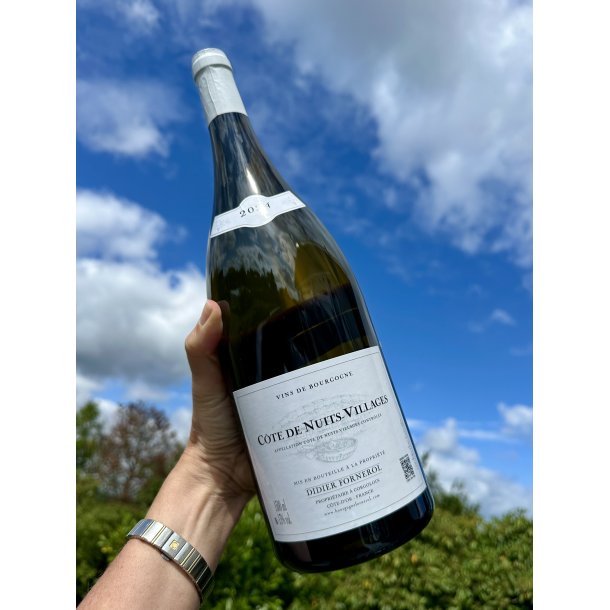2024 Didier Fornerol C�te de Nuits - Villages Blanc MG.
