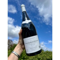 2024 Didier Fornerol C�te de Nuits - Villages Rouge MG.