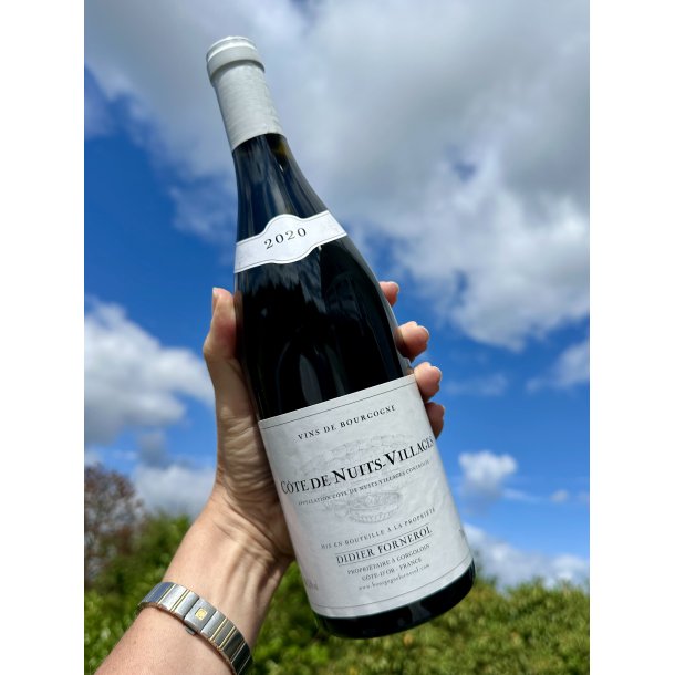 2020 Didier Fornerol C�te de Nuits - Villages Rouge
